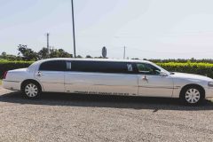 Ariadna-Jaume-114-scaled